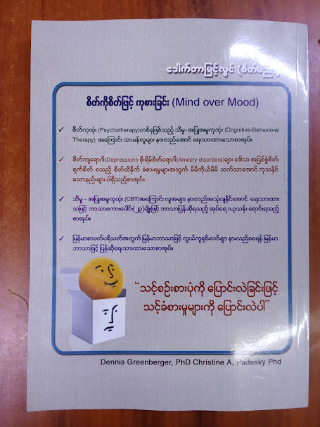 စိတ်ကို စိတ်ဖြင့် ကုစားခြင်း