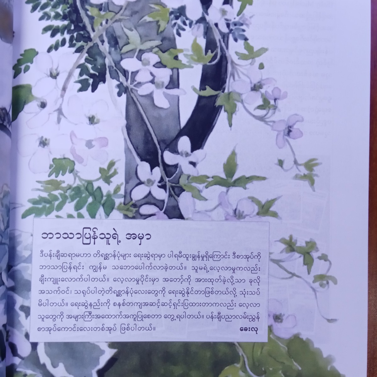 ရေဆေးဖြင့် တိရစ္ဆာန်ပုံများ ရေးဆွဲနည်း