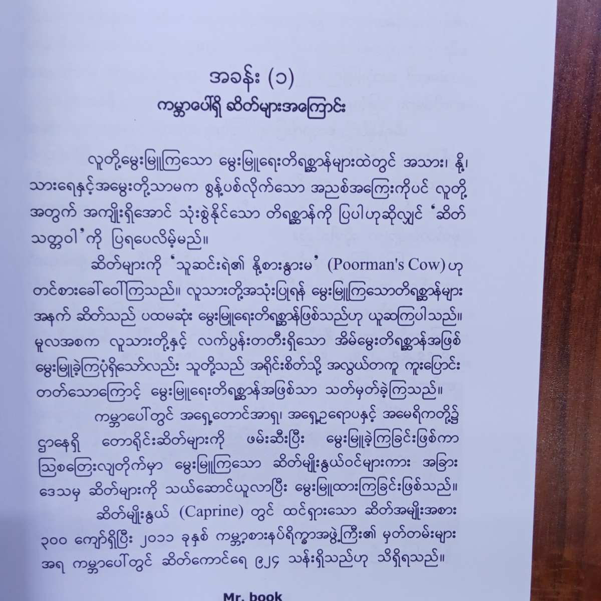 ဆိတ်မွေးမြူရေးအကြောင်း (ဒေါက်တာခင်စန်းမော်)