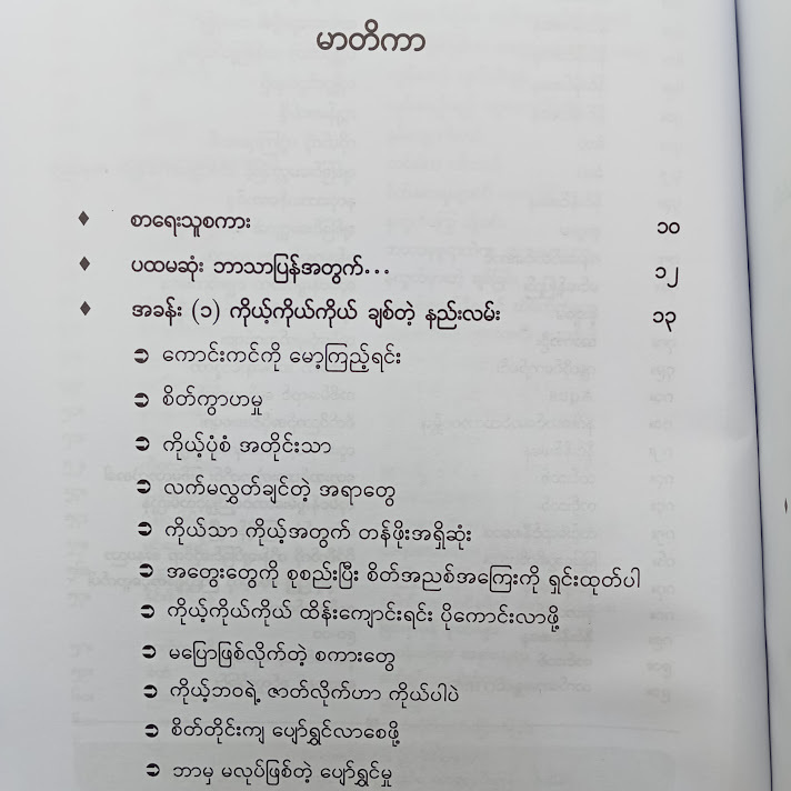 ကြယ်တွေဟာမင်းအတွက်ပဲ လင်းလက်တောက်ပနေတာပါ - အီမီဆို