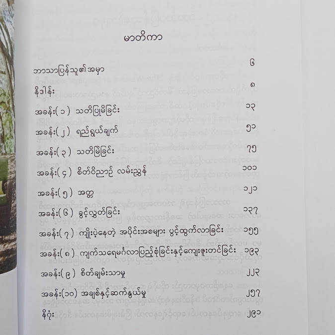 စိတ်ဝိညာဉ် - Orchid