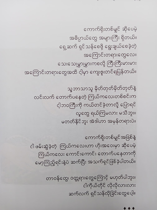 ချစ်သောအမျိုးသားလေးထံသို့ - စူးရှမေ