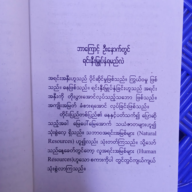 ဦးနှောက်တွင် ရင်းနှီးမြှပ်နှံပါ